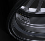 RS1 (2-P)