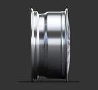 RS1 (2-P)